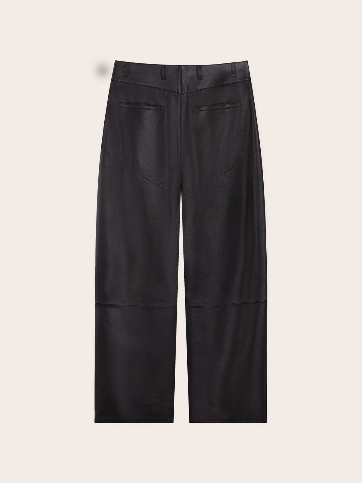 Corin Lambskin Panelled Pants